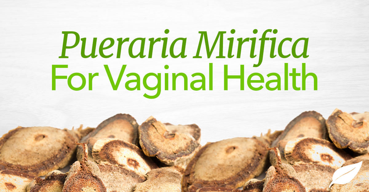 Pueraria Mirifica Benefits Vaginal Health