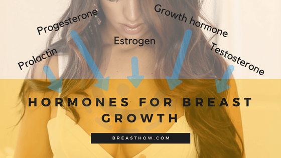 Hormones for Breast Growth