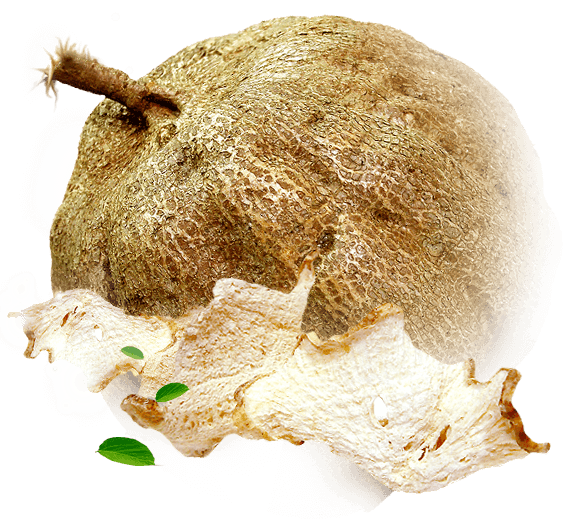 What is Pueraria Mirifica